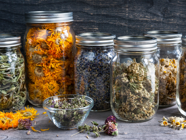 The Erectimus Herbal Ingredients in jars